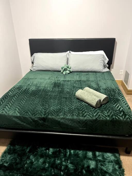 Serene Living Downtown Stl Loft Σαιντ Λούις Εξωτερικό φωτογραφία