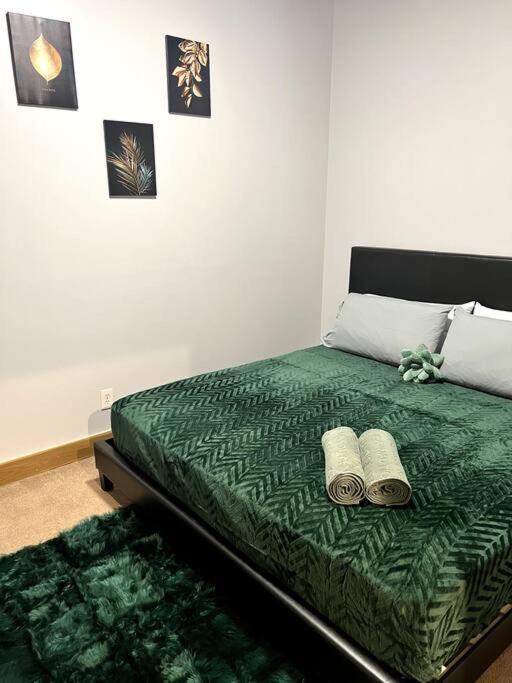 Serene Living Downtown Stl Loft Σαιντ Λούις Εξωτερικό φωτογραφία